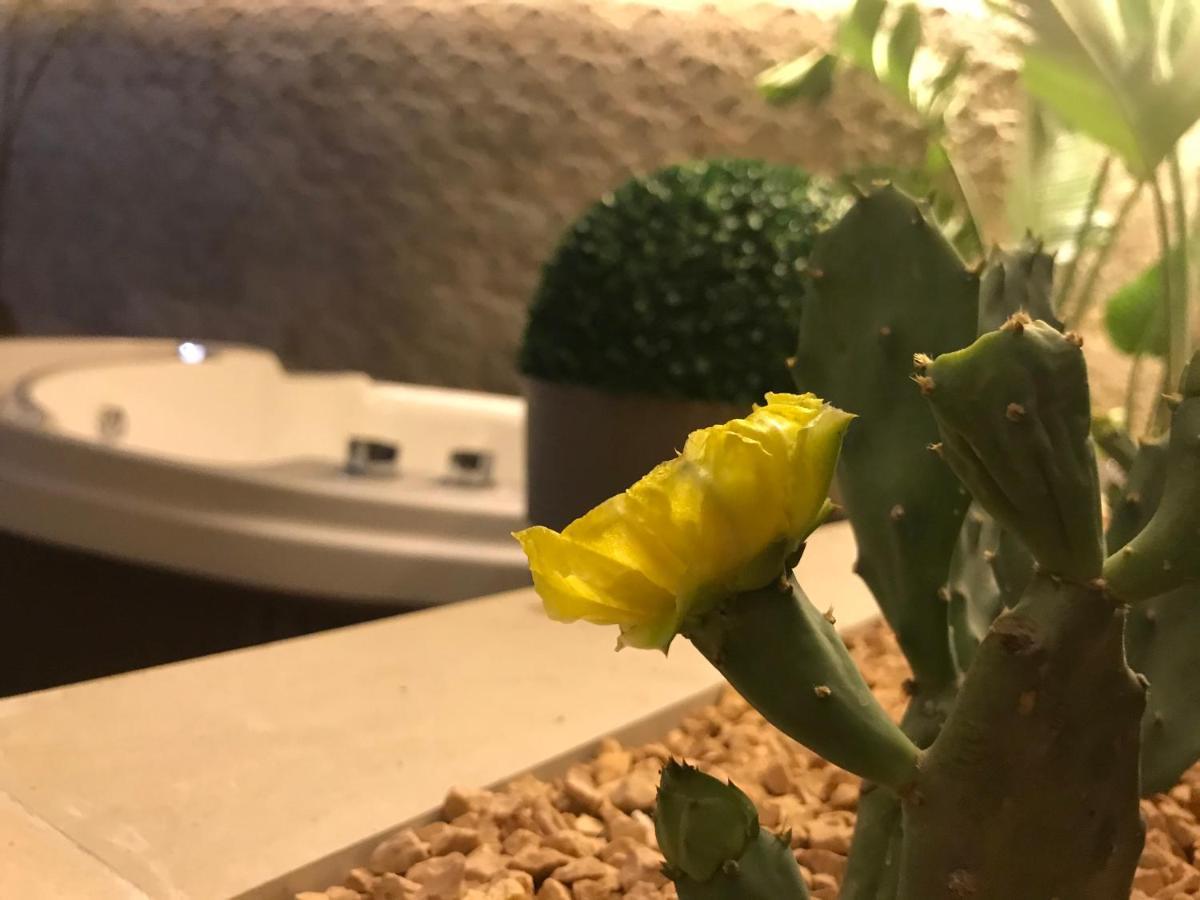 Sicitaly Bed and Breakfast Aci Castello Εξωτερικό φωτογραφία